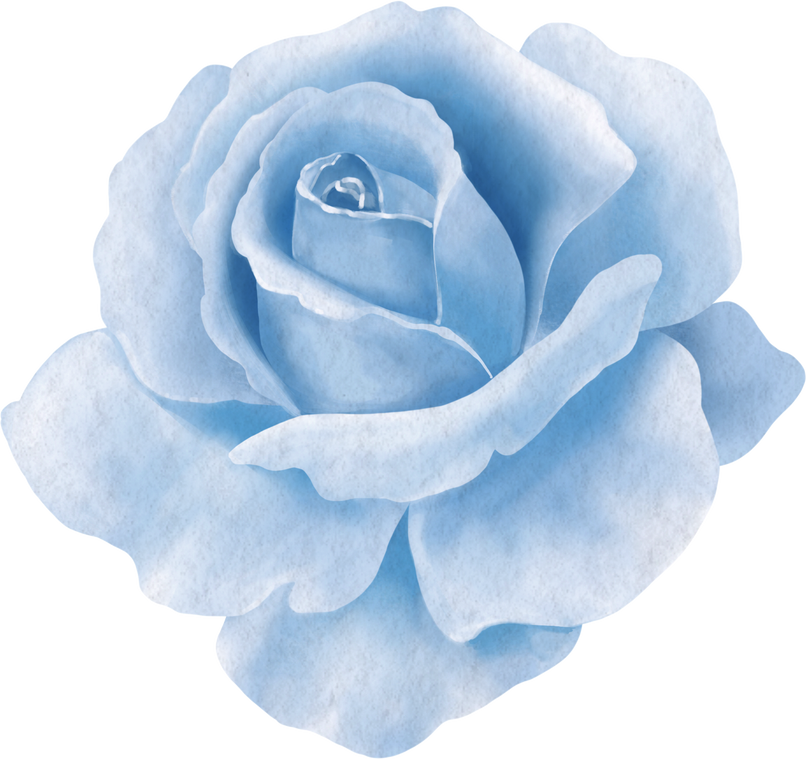 Blue Rose Flower